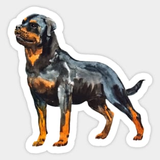 rottweiler portrait Sticker